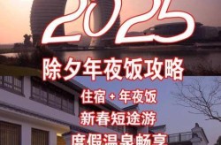 过年返乡住酒店正在成为新选择（过年住酒店好吗）