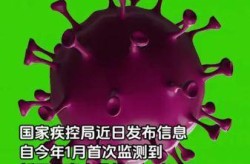 新冠疫情2023年还会爆发吗（新冠疫情2022年冬还会爆发吗）