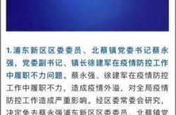 上海杨浦2名干部因防疫不力被问责（上海市杨浦区干部公示）