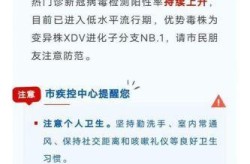 新冠三阳又开始了吗最新消息（律动三阳川最新消息）
