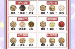 黄芪的功效与作用适合哪些人（黄芪不适合哪些人吃）
