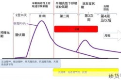 2024得了新冠一般多久能好（新冠伤了元气要多久才能恢复）