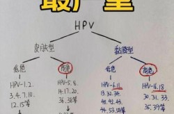 2024阳性了会传染给别人吗（hpv阳性会传染家人吗）
