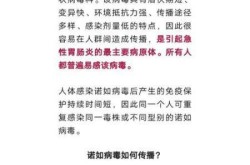 第八种可感染人的冠状病毒被发现（人感染冠状病毒危险吗）