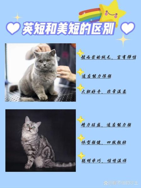 两样和两种的区别 两和俩的区别是什么