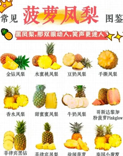 凤梨和菠萝的区别哪个贵 凤梨和菠萝哪个好