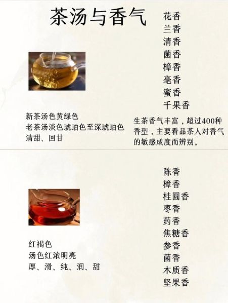 普洱熟茶和生茶的区别哪个好 普洱生茶和熟茶哪个好