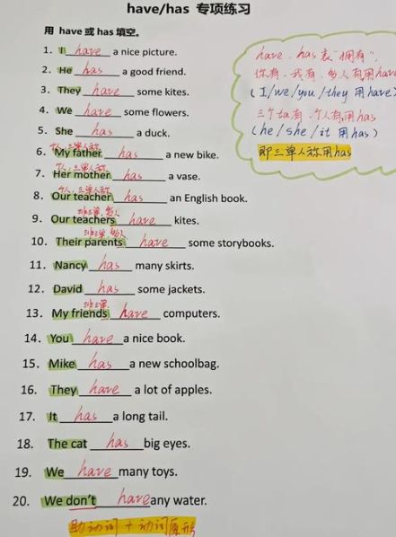 has与have的区别用法 has和have的区别和用法