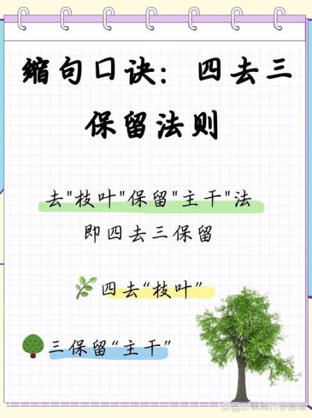 缩句的方法与技巧ppt课件 缩句的方法和技巧口诀课件