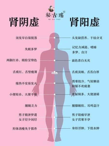肾阴虚和肾阳虚的区别 知乎 肾阳虚跟肾阴虚