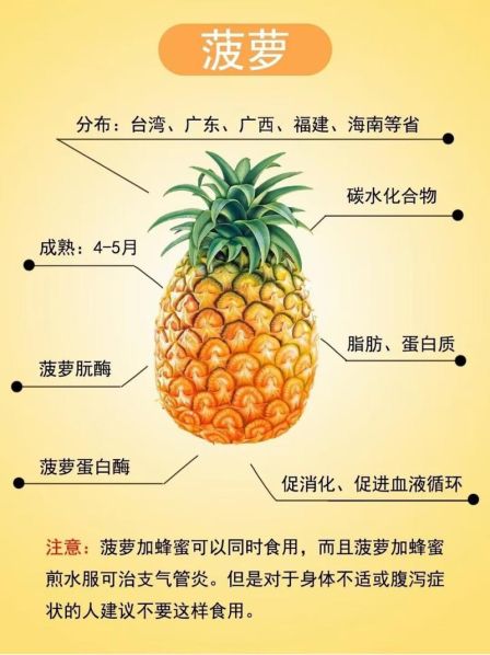 凤梨与菠萝的区别图解 凤梨的功效与作用及禁忌