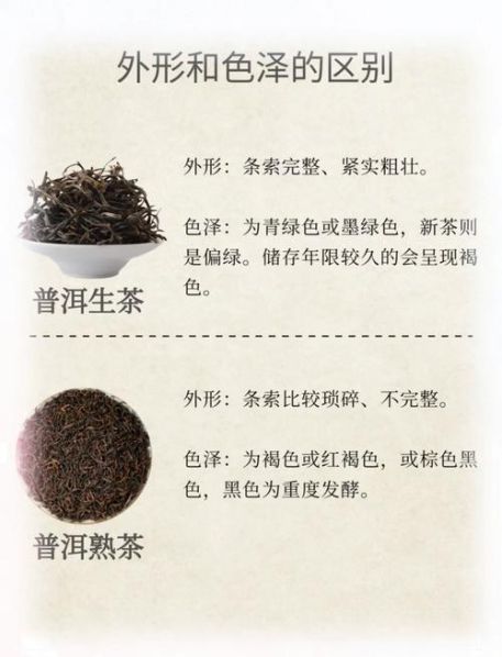 普洱生茶和熟茶的区别优缺点和冲泡方法 生茶和熟茶哪个好