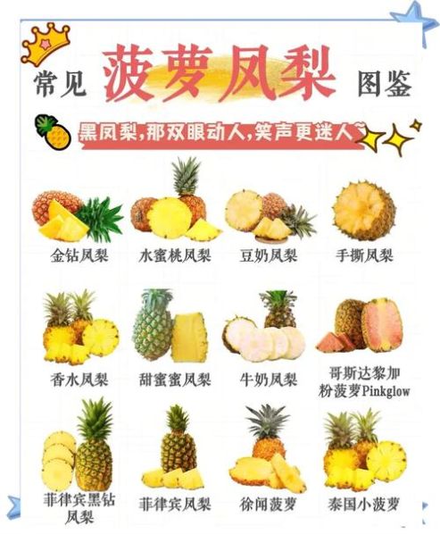 菠萝和凤梨的区别百科 凤梨和菠萝是一样吗