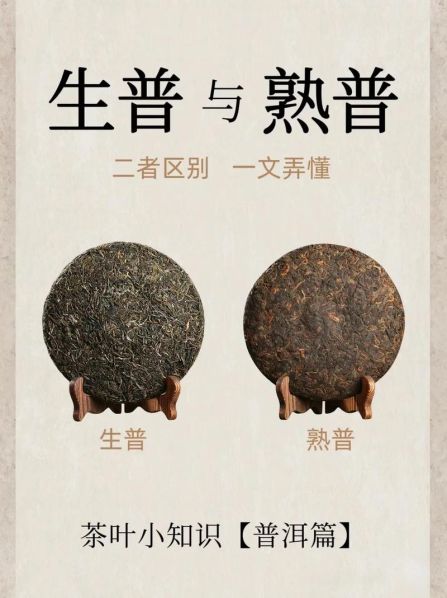 普洱生茶熟茶的区别和各自功效作用 普洱生茶和熟茶各有什么功效