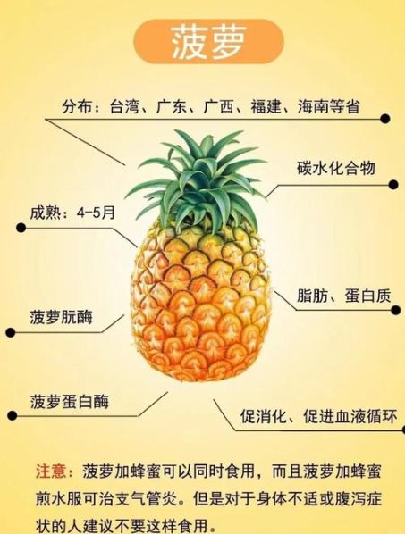 凤梨和菠萝的区别百度百科图片最新 凤梨和菠萝的区别在于哪里