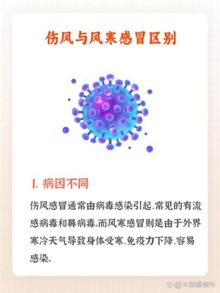 病毒发烧和风寒发烧的区别 风寒为什么会反复发烧