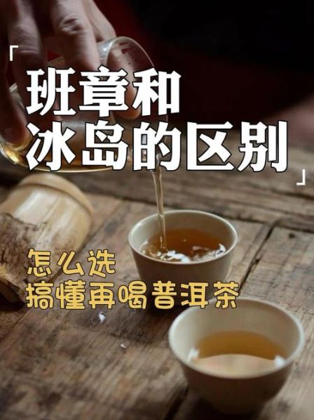 班章和冰岛的区别 班章 冰岛 易武 昔归 口诀