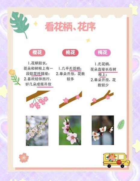 欣赏和观赏的区别方法 领略和欣赏的区别