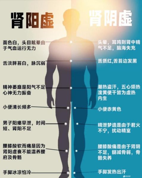 肾阴虚和肾阳虚的区别与症状图片分析 男人肾阳虚和肾阴虚的区别