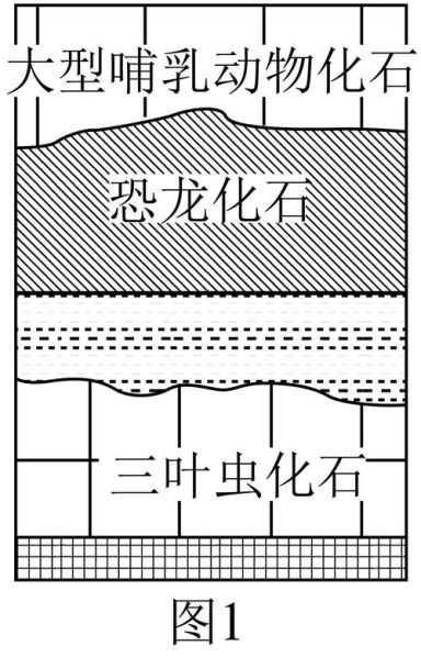 地质填图的方法与步骤 地质填图的目的