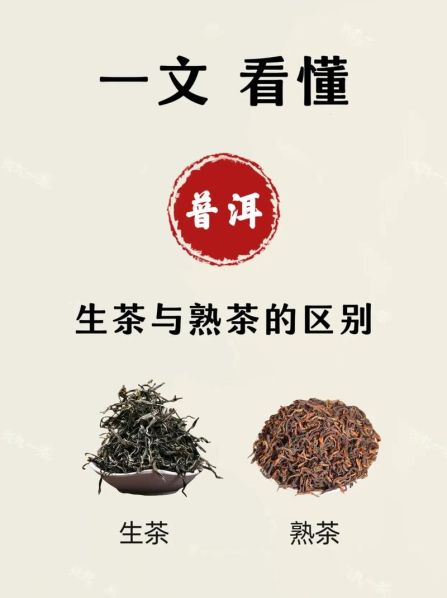 普洱生茶与熟茶的区别 及泡茶方法图片 普洱生茶和熟茶区别