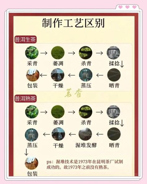 生普洱茶和熟普洱茶的区别功效与作用 生普洱茶与熟普洱茶的区别在哪
