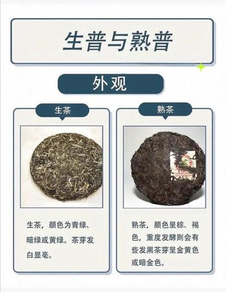 普洱熟茶跟生茶的区别 熟茶和生茶哪个好