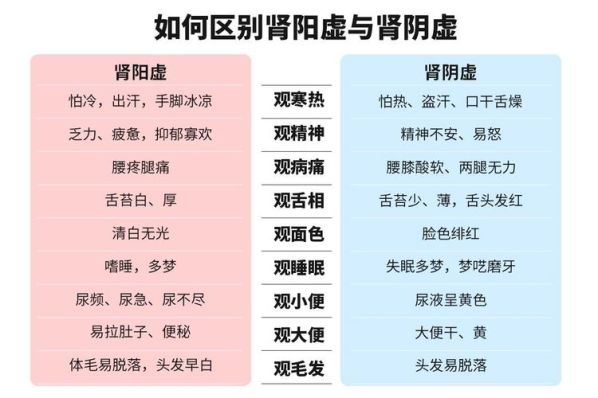 肾阴虚肾阳虚肾气虚肾精虚的区别 肾阴虚与肾阳虚区别