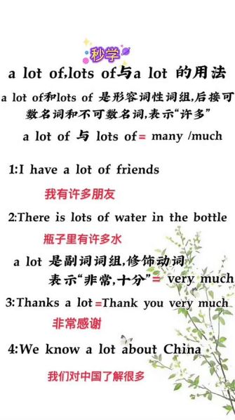 lot和lots的区别 a lot放在句末等于什么