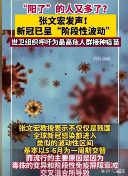 加拿大疫情最新消息:各省现状、疫苗接种与政策差异全面解析