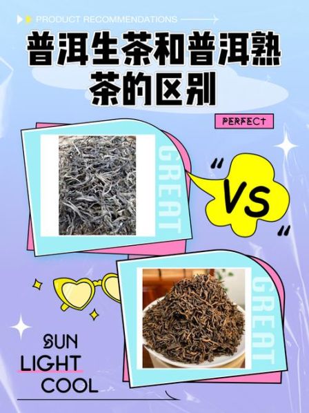 普洱茶生茶和熟茶的区别图片及价格大全 普洱生茶和熟茶有啥区别