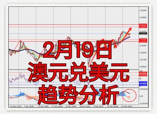 澳元符号和美元符号的区别在哪显示 澳元符号怎么打