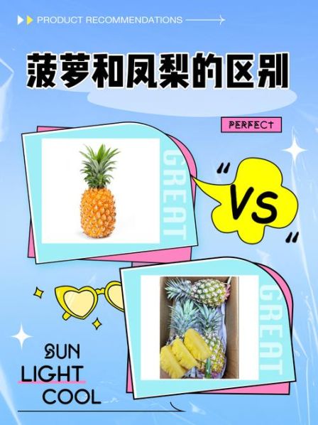 凤梨和菠萝的区别图片 对比分析图 凤梨和菠萝一样吗?有什么区别