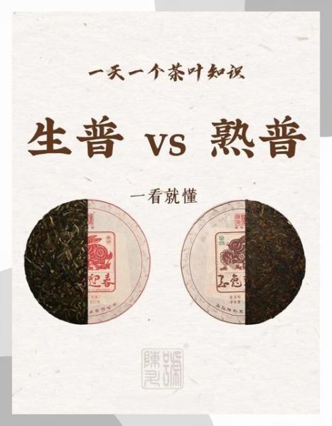 生普洱茶和熟普洱茶的区别功效哪个减肥 熟普洱减肥还是生普洱减肥效果好