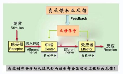 反馈与反映问题的区别和联系 问题反馈机制