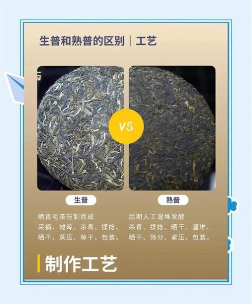 生普洱茶和熟普洱茶颜色的区别 古树普洱茶是生茶还是熟茶