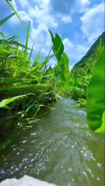 河与小溪的区别 小溪河流属于什么