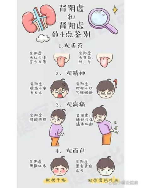 肾阳虚还是肾阴虚最大的区别 肾阳虚还是肾阴虚怎么判断