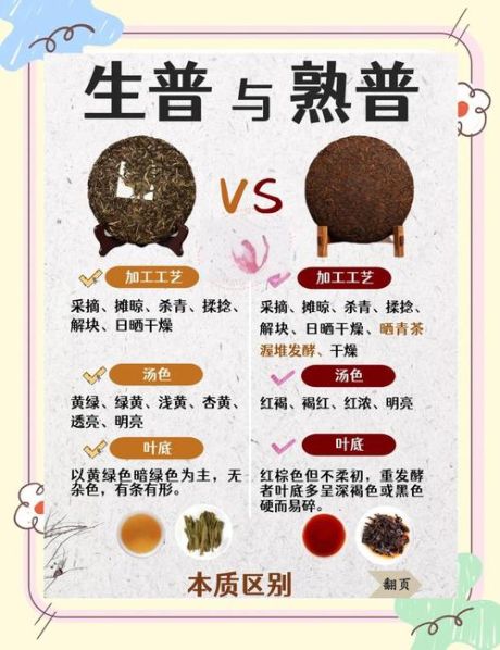 普洱生茶和熟茶的区别优缺点和冲泡方法 生茶和熟茶哪个好