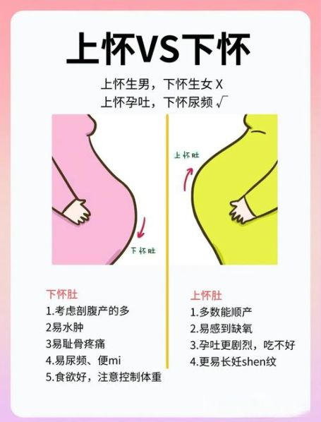 男女最明显的区别 孕晚期最准男女区别