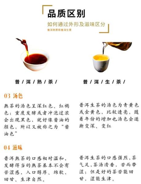 普洱茶生茶和熟茶的区别图说的区别 普洱生茶怎么喝