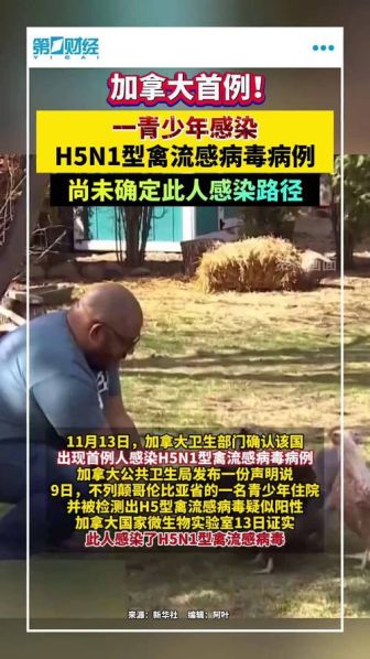 加拿大目前疫情情况 最新消息,加拿大目前疫情情况 最新消息新闻