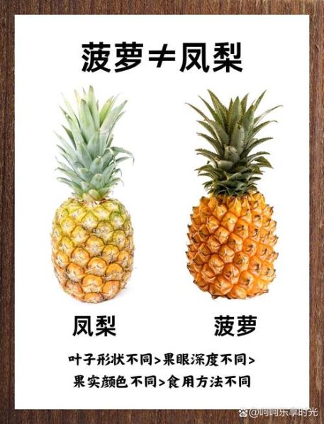凤梨和菠萝的区别图:凤梨跟菠萝有什么区别呢