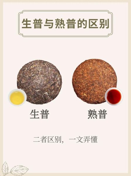 普尔生茶和普洱熟茶的区别：普尔生茶和普洱熟茶的区别在哪