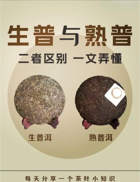 普洱生茶和普洱熟茶的区别：普洱茶生普和熟普有什么区别