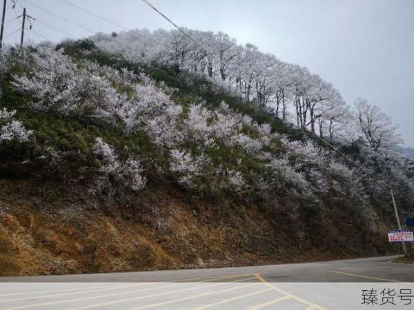 榕江堵车致民众徒步撤离,交通状况如何改善?