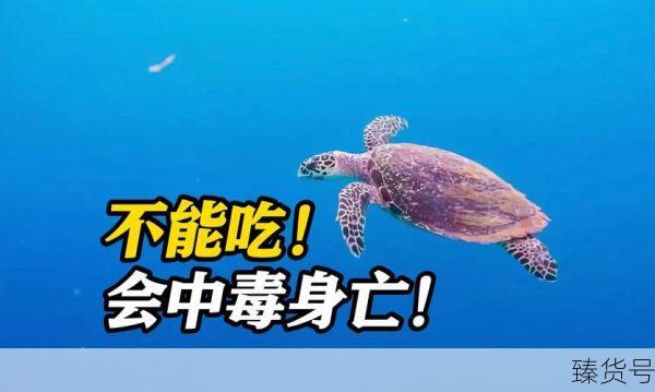 坦桑尼亚3人因神秘疾病死亡(坦桑尼亚有什么疾病)