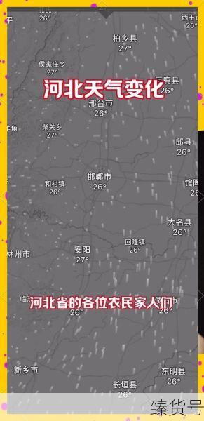2024河北最新病毒感染消息（河北最新今天的消息）