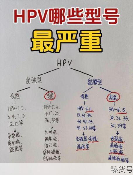 2024阳性了会传染给别人吗（hpv阳性会传染家人吗）